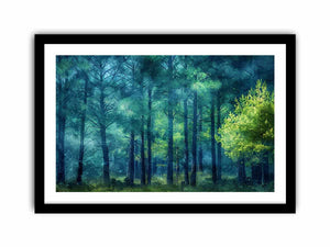 Pine Forest Art Print