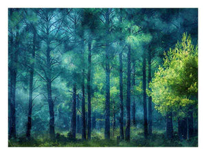 Moody emerald forest canvas art with misty trees for calm bedroom or office decor.