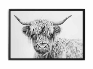 Scotland Highland Cow Painting