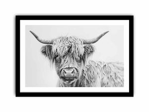 Scotland Highland Cow Art Print