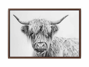 Scotland Highland Cow Poster