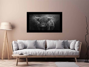 Highland Cow Black & white