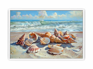 Collection of Shells Framed Print