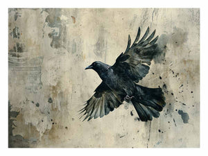 Black raven in flight against a weathered neutral wall for modern offices decor.