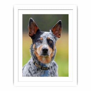 Realistic blue heeler dog canvas print for modern living room or office decor.