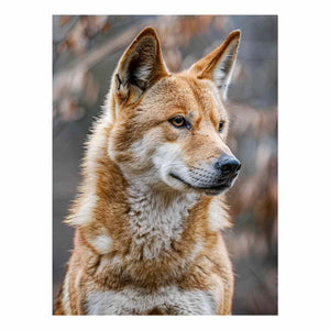Dingo-inspired wild dog canvas art for earthy modern living room decor.
