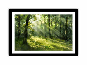 Dappled Light Art Print