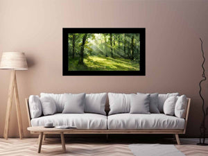 Forest Light