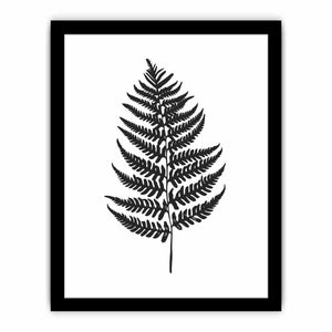 Fern Leaf Art Print