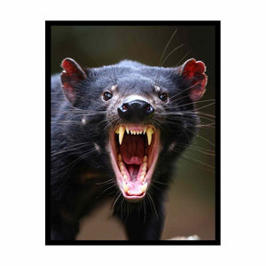 Tasmanian Devil Painting