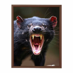 Tasmanian Devil Poster