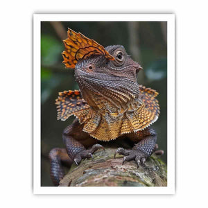 Amber frilled lizard wildlife canvas print for bold modern office decor.
