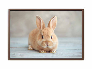 Soft bunny canvas print for cute nursery and kids room wall decor.