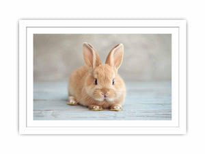 Soft bunny canvas print for cute nursery and kids room wall decor.
