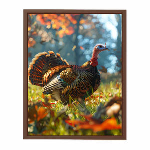 Turkey Poster