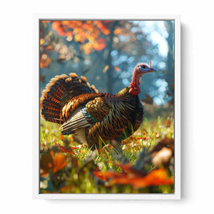 Turkey Framed Print