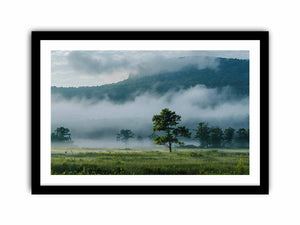 Misty mountain valley photography canvas with lone tree and fog for peaceful living room wall decor.