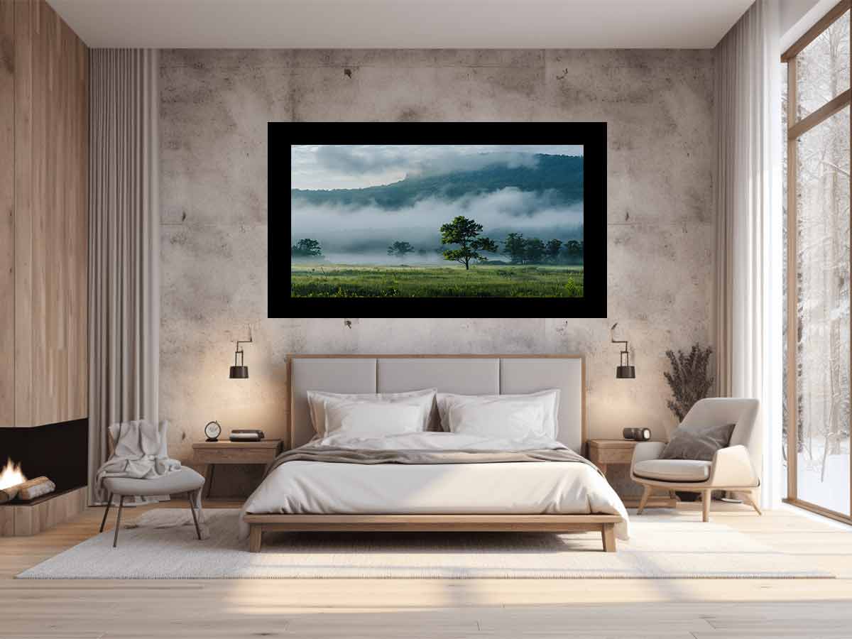 Morning Mist