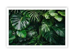 Tropical leaf photography canvas with monstera and palm foliage for fresh biophilic living room decor.