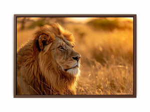 Lion Portrait Poster