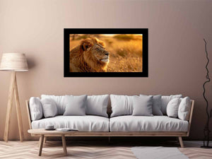 Lion Portrait