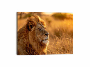 Lion Portrait Canvas Print