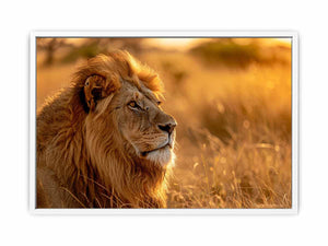 Lion Portrait Framed Print
