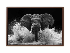 Water Elephant Poster