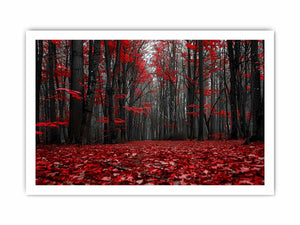 Red forest path canvas art with black trees for dramatic hallway wall decor.