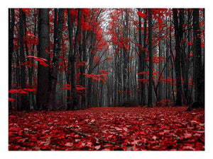 Red forest path canvas art with black trees for dramatic hallway wall decor.