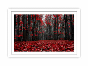 Red forest path canvas art with black trees for dramatic hallway wall decor.