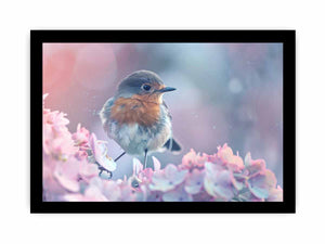 Pastel robin canvas art with pink flowers for soft cottagecore bedroom decor.