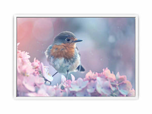 Little Robin Framed Print