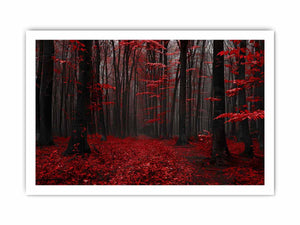 Dark forest canvas art with red leaves and mist for modern living room decor.