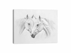Two Horses Canvas Print