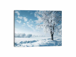 Winter Canvas Print