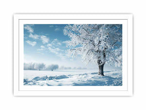 Winter Streched canvas
