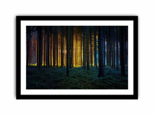 Colorful Forest Art Print