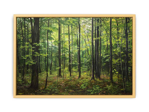 Northern Hardwood Forest Painting Streched canvas