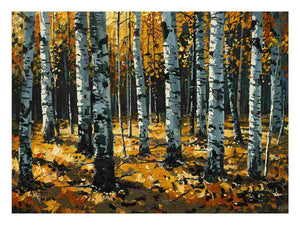 Birch Trees