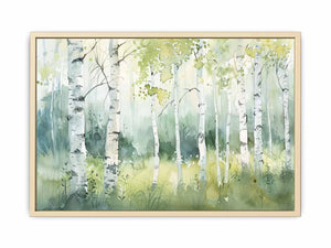 Birch Trees Art Print