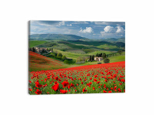 Field Of Poppies Painting