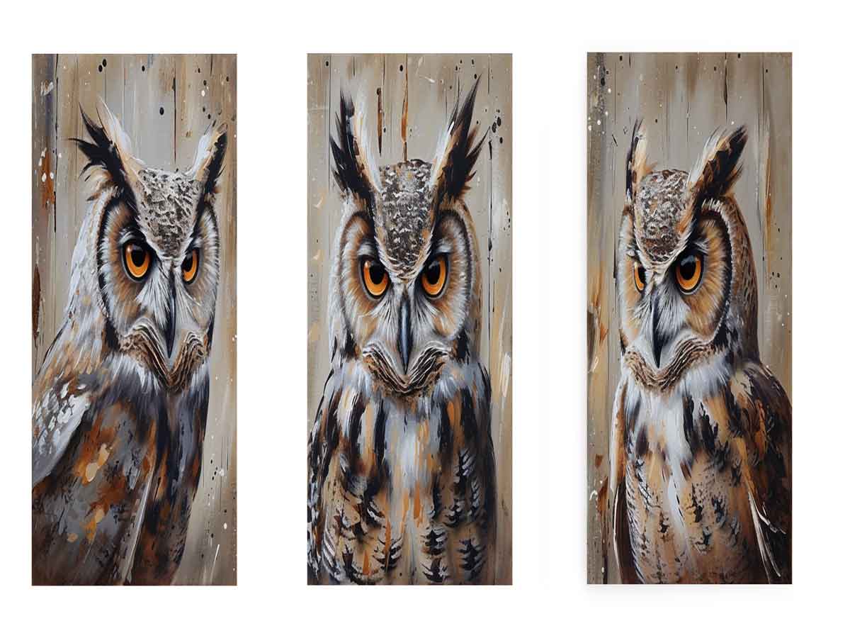 Owl 3 Piece Art Set