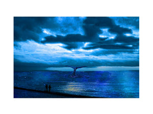 Dolphin Nightsky Painting