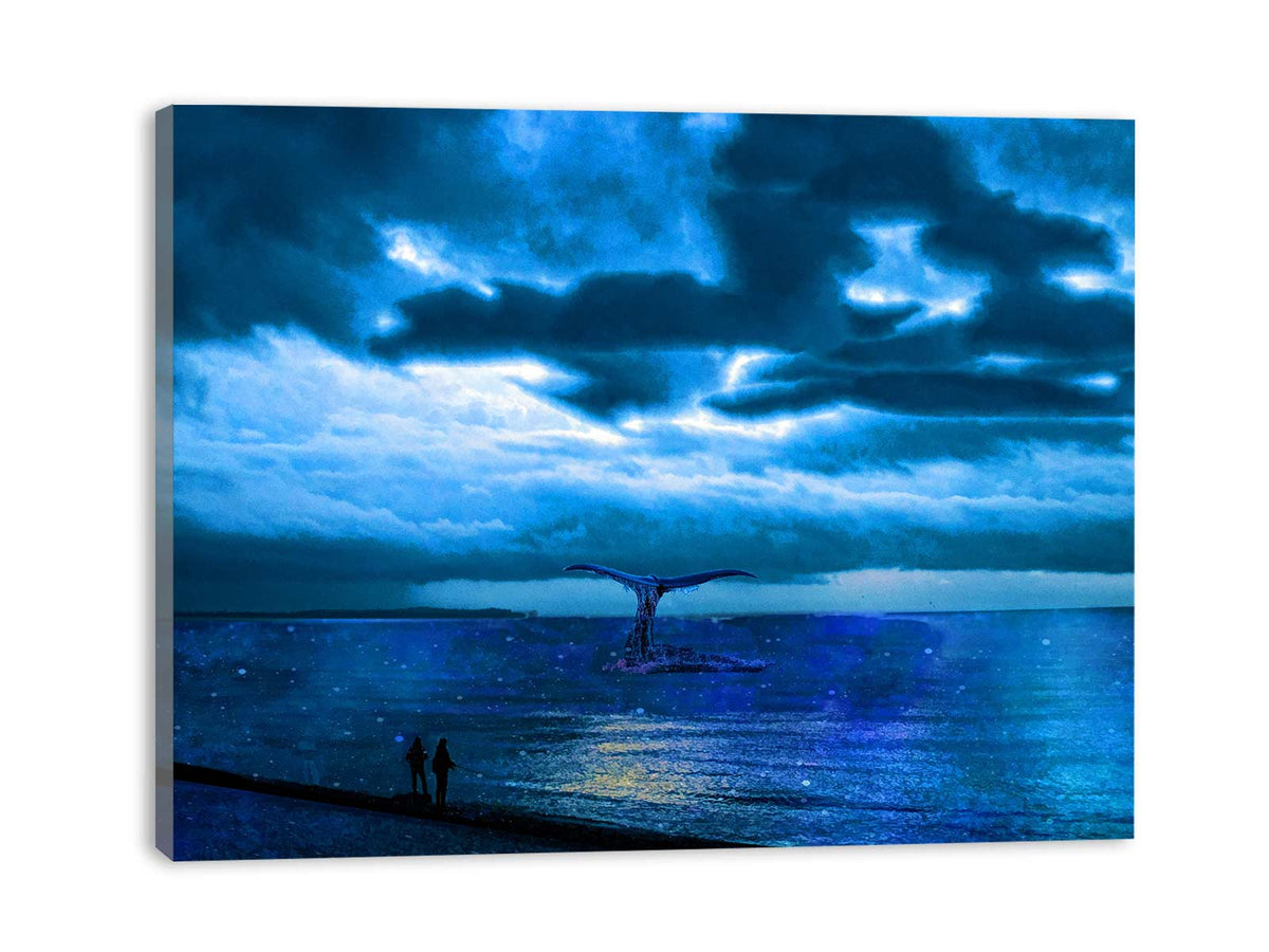 Dolphin Nightsky Painting