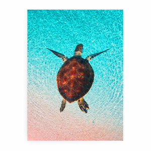 Sea Turtle Wall Art Painting