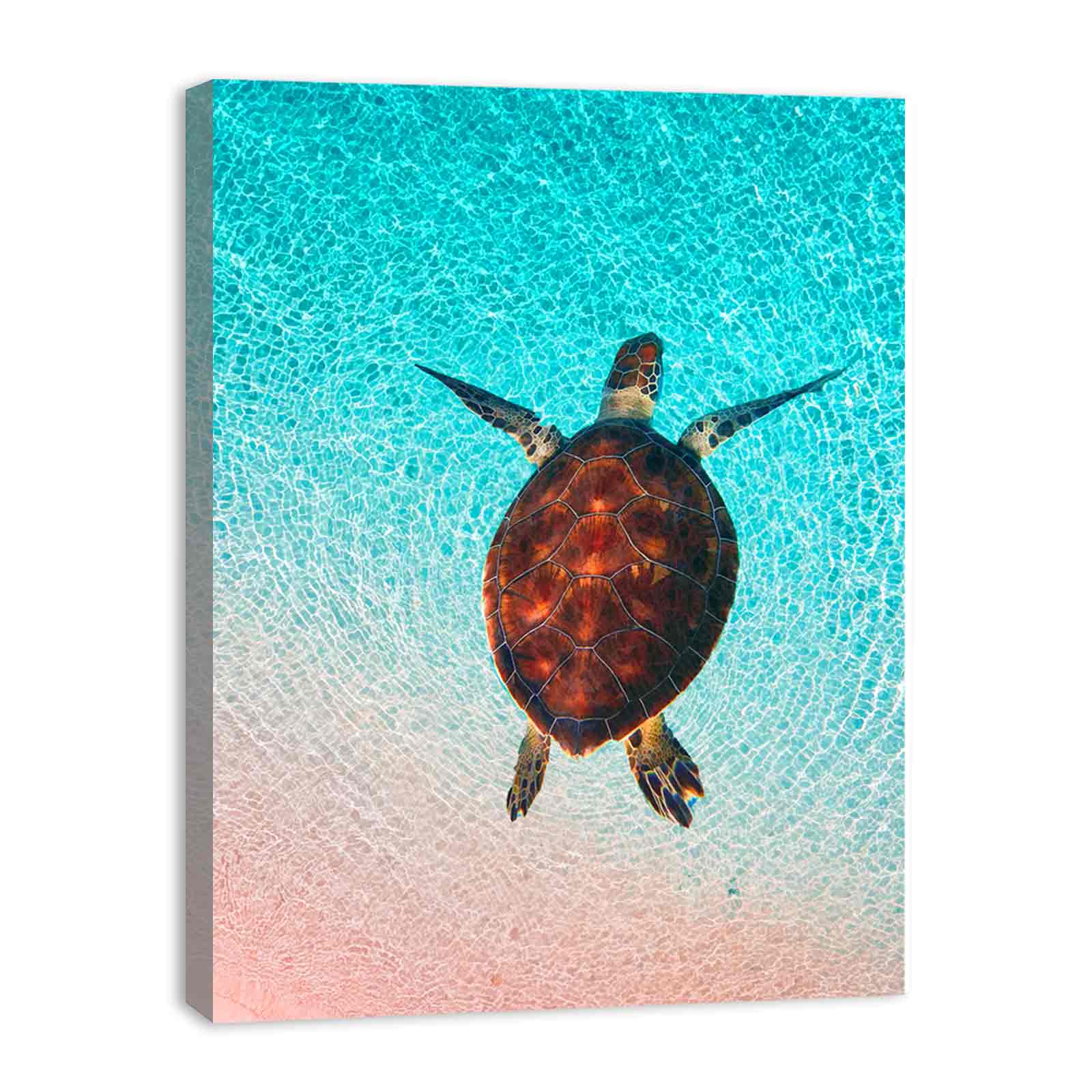 Sea Turtle Wall Art Painting