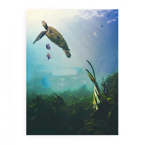 Sea Turtle Painting