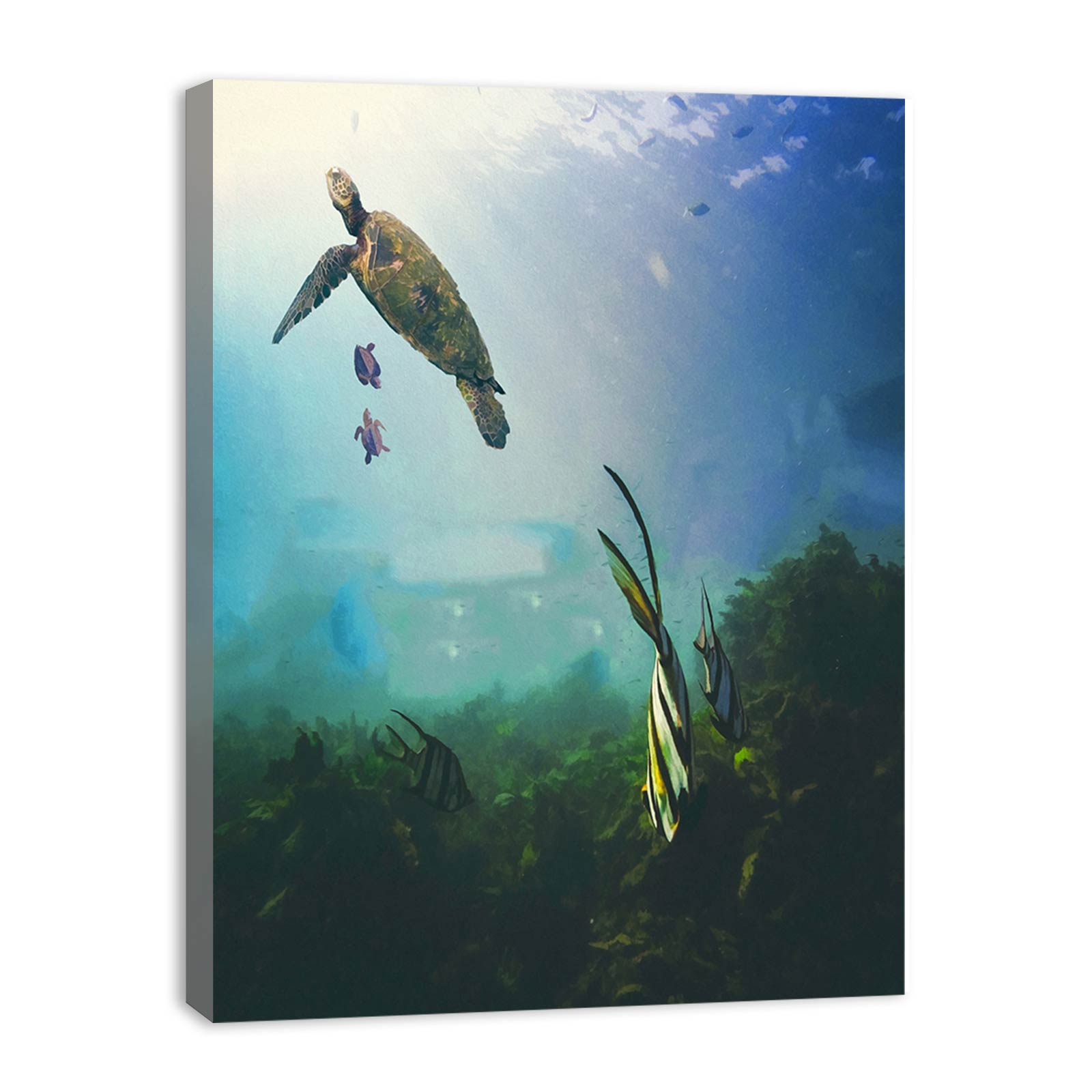 Sea Turtle Painting
