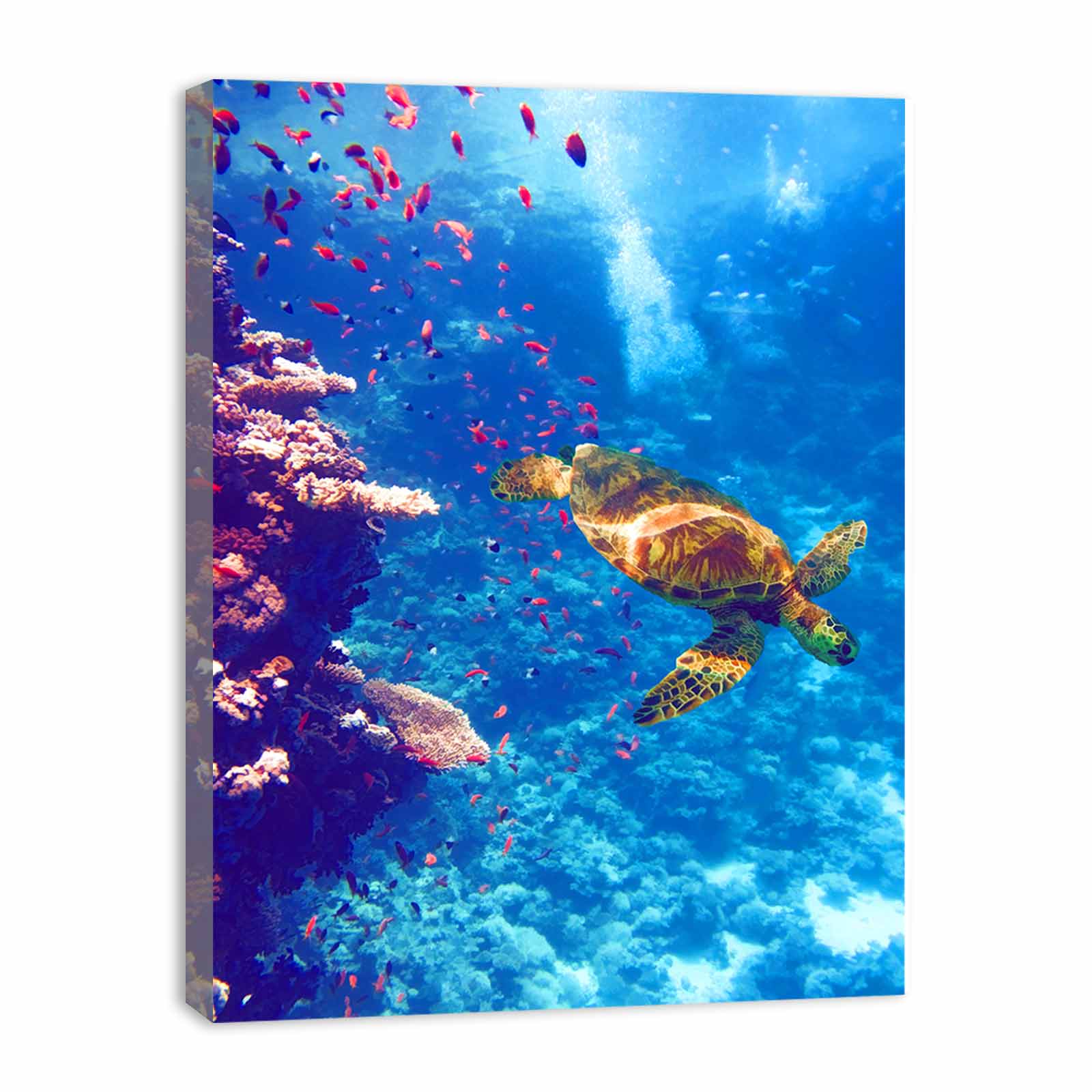 Sea Turtle Artwork Painting